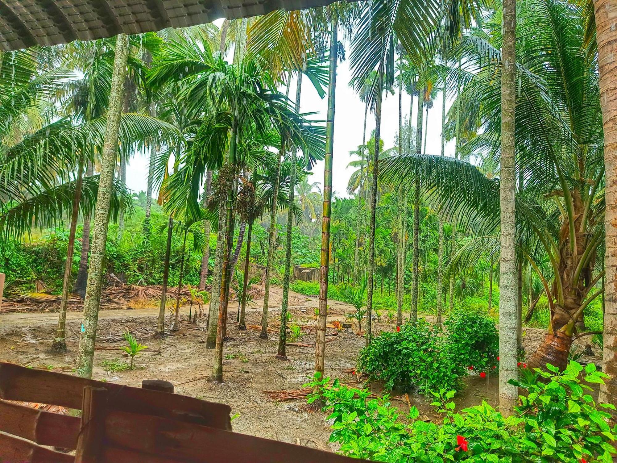 Shivalaya Farmstay Located Amdist Coconut Farm With River Access Near Isha,Adiyogi,Siruvani Alāndurai 外观 照片