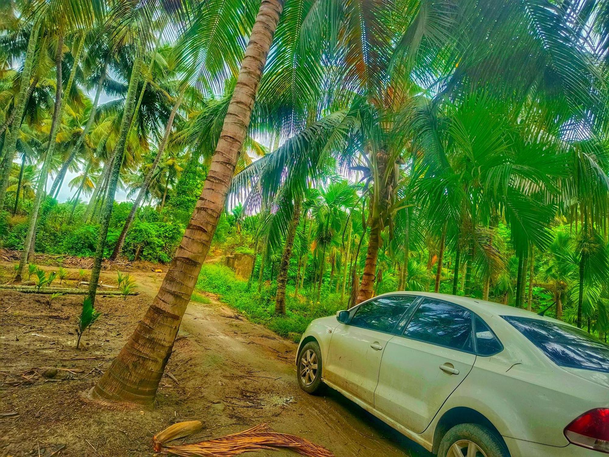 Shivalaya Farmstay Located Amdist Coconut Farm With River Access Near Isha,Adiyogi,Siruvani Alāndurai 外观 照片